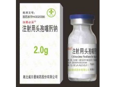 注射用頭孢噻肟鈉（1.0g，）
