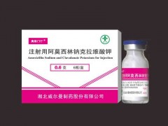 注射用阿莫西林钠克拉维酸钾（0.6g， 1.2g）