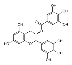 GCG 98%,green tea extract