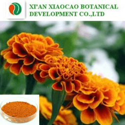 萬壽菊提取物現(xiàn)貨供應萬壽菊提取物葉黃素 5%-80%