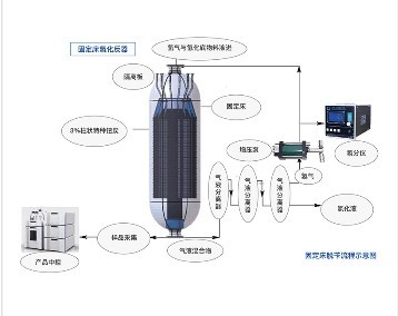 固定（流化）床反應器