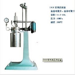 TFCF系列高压反应釜