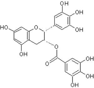 EGCG 90%,95%,98%