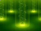 DIMETHOATE