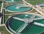 TETRA SODIUM PYROPHOSPHATE (TSPP)