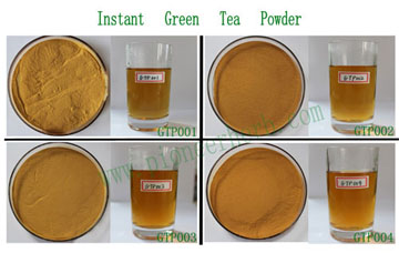 绿茶提取物 茶多酚 茶儿茶素 EGCG单体