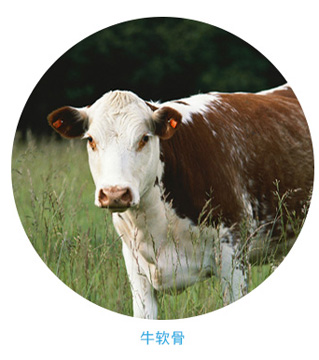 明胶空心胶囊价格-吉药控股浙江亚利大胶丸有限公司