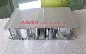 铝蜂窝净化板材
