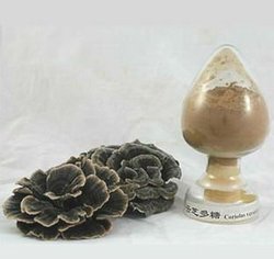 高品質云芝多糖
