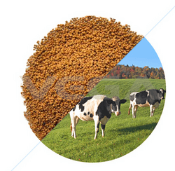  Feed additives Nosiheptide Premix  from manufacture china mainland