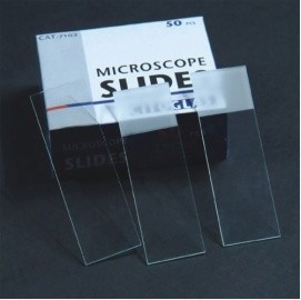 Microscope Slides 2
