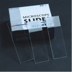 Microscope Slides 2