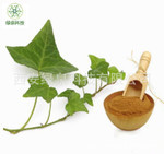常春藤提取物