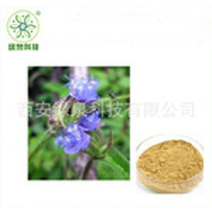 露水草植物提取物