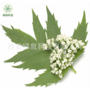 缬草提取物
