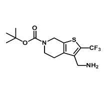 3-氨甲基-2-（三氟甲基）-4,7-二氢噻吩并[2,3-c]吡啶-6（5H）-羧酸叔丁酯