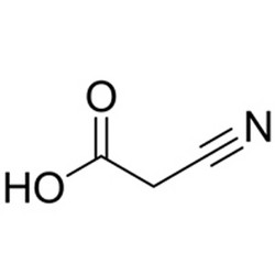 氰乙酸