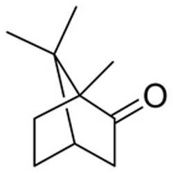 合成樟脑