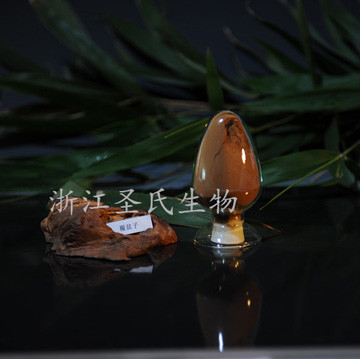 覆盆子提取物