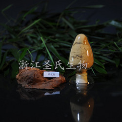 玳玳花提取物