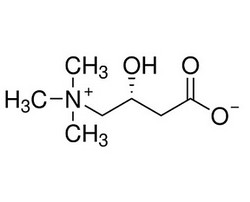 左旋肉碱
