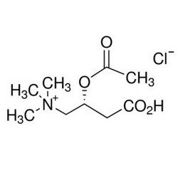 乙酰左旋肉碱盐酸盐