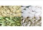 Pumpkin Seed P.E.