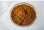 Ginger Extract