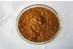 Ginger Extract