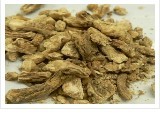 Angelica Root Extract