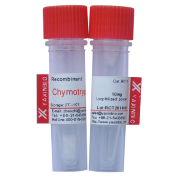重组糜蛋白酶; Chymotrypsin