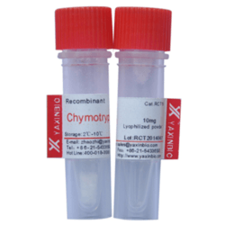 重組糜蛋白酶; Chymotrypsin