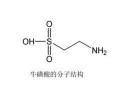 牛磺酸