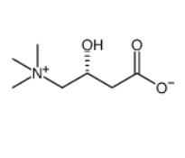 L-肉碱