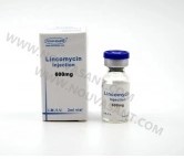 Lincomycin Injection 600mg/2ml