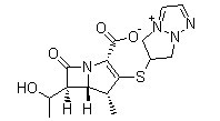 Biapenem