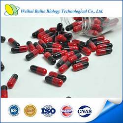 China GMP Certified Male Herbal Sexual Product Epimedium Hard Capsule