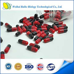 China GMP Certified Male Herbal Sexual Product Epimedium Hard Capsule