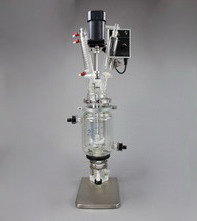 1L双层玻璃反应釜 - 型号 JR-S1