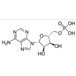 5'-腺苷酸