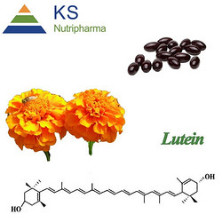 萬(wàn)壽菊提取物 現(xiàn)貨庫(kù)存葉黃素酯 葉黃素酯油