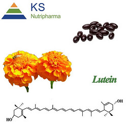 萬壽菊提取物 現(xiàn)貨庫存葉黃素酯 葉黃素酯油