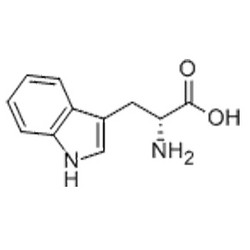 D-色氨酸