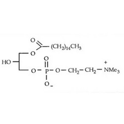 棕榈酰溶血卵磷脂 P-LysoPC