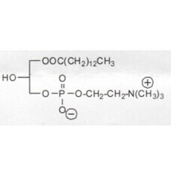 肉豆蔻酰溶血卵磷脂 M-LysoPC