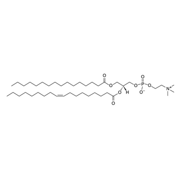 1-棕榈酰基-2-油酰基卵磷脂 POPC