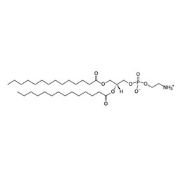 硬脂酰溶血卵磷脂 S-lysoPC