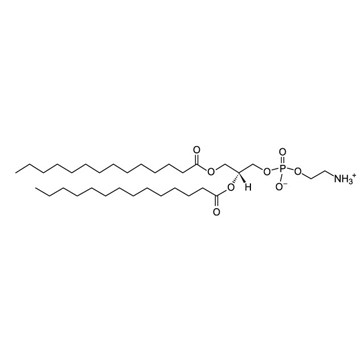 硬脂酰溶血卵磷脂 S-lysoPC