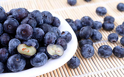 蓝莓提取物 25%花青素