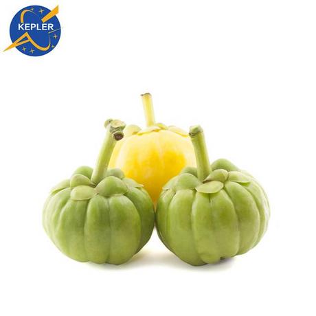 藤黄果提取物